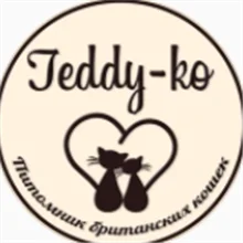 TEDDY-KO