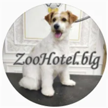 Zoo Hotel BLG