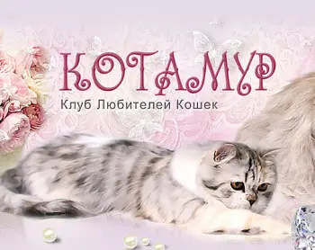 Котамур-р-р